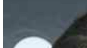 Bad Bunny y el gobernador de Puerto Rico, Ricardo Rosselló.