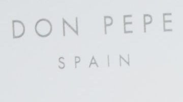 Luis Fonsi junto a su esposa Águeda López.