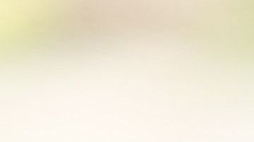 Obtén la evidencia necesaria para hacer justicia