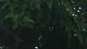 Migrantes descansan antes de emprender su caminata hacia la Ciudad de México.