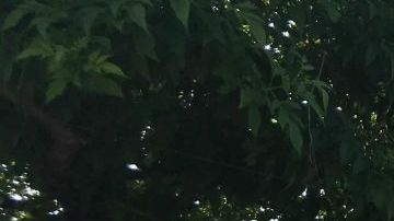 Migrantes descansan antes de emprender su caminata hacia la Ciudad de México.