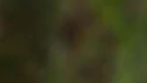 Melania salió en apoyo de los hombre acusados como su propio esposo