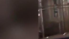 En NYC se ve de todo