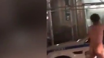 En NYC se ve de todo