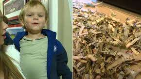 Un niño tritura más de $1,000 dólares.