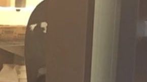 La empleada insultó a la clienta.