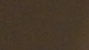 La cantante costarricense Kate Deluna participó en la campaña de Playworks contra el bullyng en el colegio público PS 9, en Brooklyn.