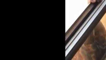 Aunque este hecho ocurrió el año pasado, el video se ha viralizado.