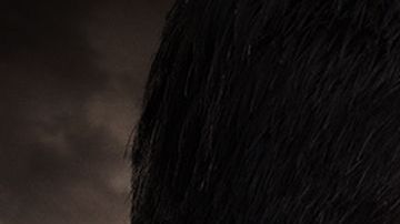 "Entre Dos Amores", telenovela turca por UniMás