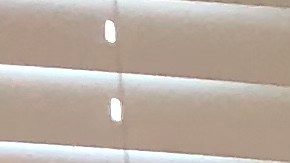 Tomás, Carolina y Sofía Díaz en su primer día de clases, en Saint Bernard Catholic Academy, donde estudian 7o., 5o. y 2o. grados, respectivamente.