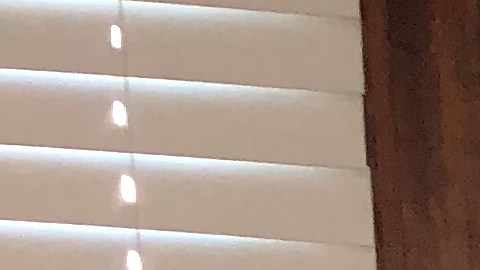 Tomás, Carolina y Sofía Díaz en su primer día de clases, en Saint Bernard Catholic Academy, donde estudian 7o., 5o. y 2o. grados, respectivamente.