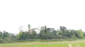 La pareja residía en la provincia de Hunan.