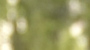 Emma Coronel ha asistido a varias audiencias de "El Chapo" en Nueva York.