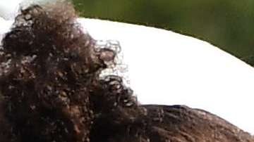 Meghan Markle, ahora conocida como la duquesa de Sussex.