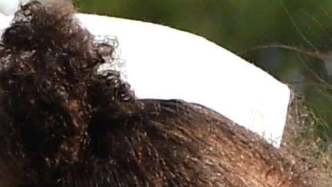 Meghan Markle, ahora conocida como la duquesa de Sussex.