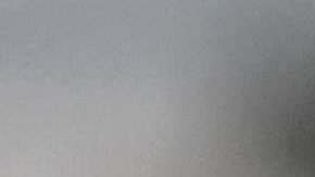 Trump dice que estas acusaciones tiene motivaciones políticas