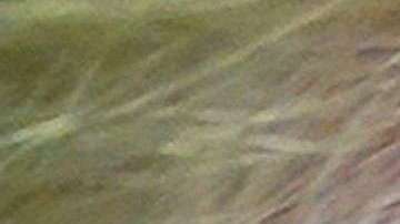 El error tipográfico ha despertado todo tipo de burlas