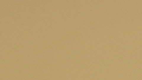 El presidente acusó que hay criminales en la caravana.