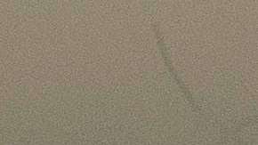 "Columbus Day" es para muchos la celebración el genocidio indígena en el continente americano