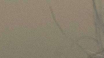 "Columbus Day" es para muchos la celebración el genocidio indígena en el continente americano