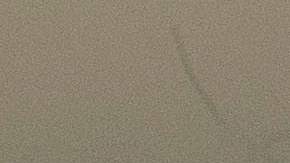 Donald Trump, el pesidente de los Estados Unidos