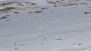 Escombros de casa y negocios en Mexico Beach, Florida.