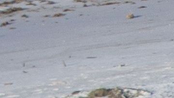 Escombros de casa y negocios en Mexico Beach, Florida.