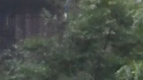 Elementos del NYPD mantienen fuerte vigilancia en torno al Columbus Circle.