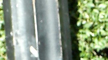 Maria Celeste Arrarás junto a Myrka Dellanos.