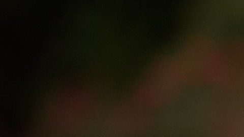 Tres mujeres rezan a una cuadra de la sinagoga Tree of Life tras el atentado de 2018.