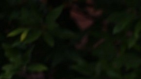 Varios líderes de la comunidad judía en Pittsburgh rechazan la visita del presidente Trump.