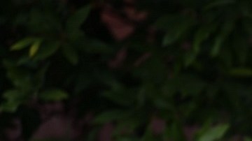 Varios líderes de la comunidad judía en Pittsburgh rechazan la visita del presidente Trump.