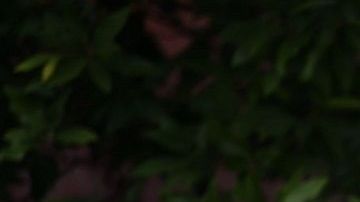 Varios líderes de la comunidad judía en Pittsburgh rechazan la visita del presidente Trump.