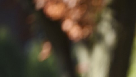 El presidente planea llegar a Pittsburgh la tarde de este martes.