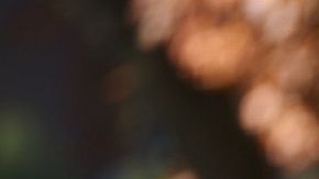 El presidente planea llegar a Pittsburgh la tarde de este martes.