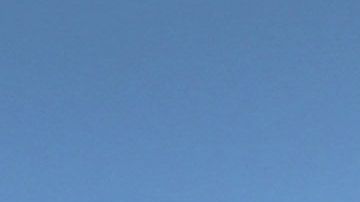 La falta de coordinación entre autoridades estatales y federales es parte del problema