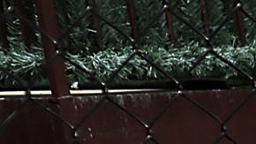 Neoyorquino judío en Brooklyn.