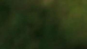 La violencia en Chicago ha disminuido por trece meses consecutivos