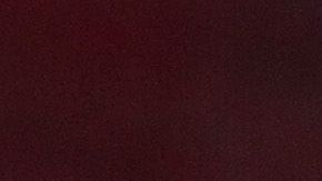 Una vieja entrevista con Melania dejó a conocer su predicción