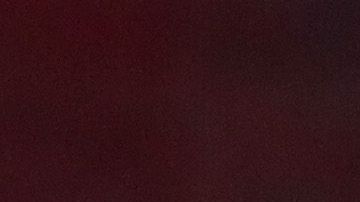 Una vieja entrevista con Melania dejó a conocer su predicción