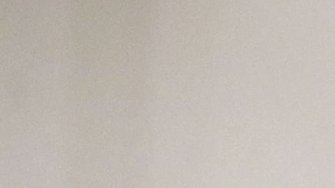 Trump asegura que puede retirar derecho a ciudadanía a hijos de no ciudadanos