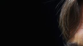 El holandés Phillip Cocu dejó de ser el técnico del Fenerbahce turco. (Foto: Dean Mouhtaropoulos/Getty Images)