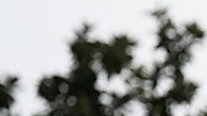 El presidente Trump critica los cuestionamientos hacia el juez Kavanaugh.