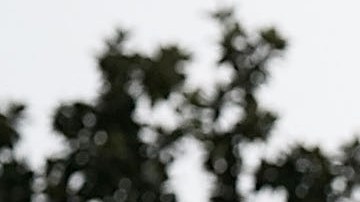 El presidente Trump critica los cuestionamientos hacia el juez Kavanaugh.