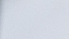 Activistas han realizado mítines a favor del TPS.