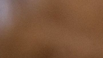 La alpaca es una especie de camélido suramericano