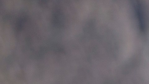 La Administración Trump descartó enviar 14,000 soldados a la frontera con México.