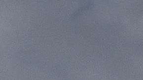 El Servicio Secreto responde de la seguridad del presidente y su familia.