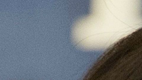 Trump tiene previstos 10 mítines políticos antes de las elecciones