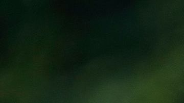 El Servicio Secreto desmintió haber interceptado un paquete dirigido a la Casa Blanca.